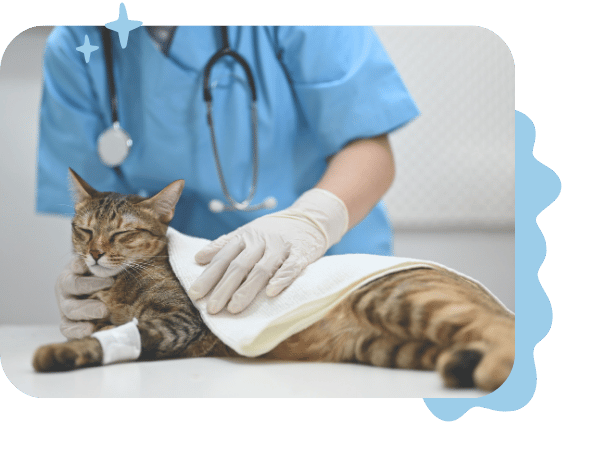 Urgent Care